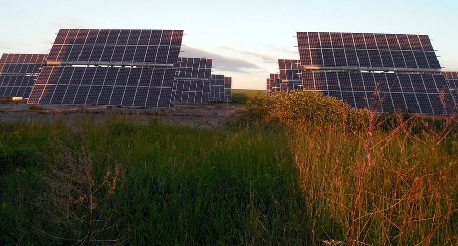 Solarpaneele auf einem Feld
